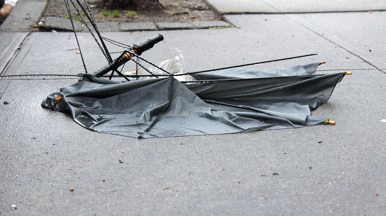 Discarded Umbrella Carcasses, NYC