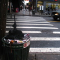 Discarded Umbrella Carcasses, NYC