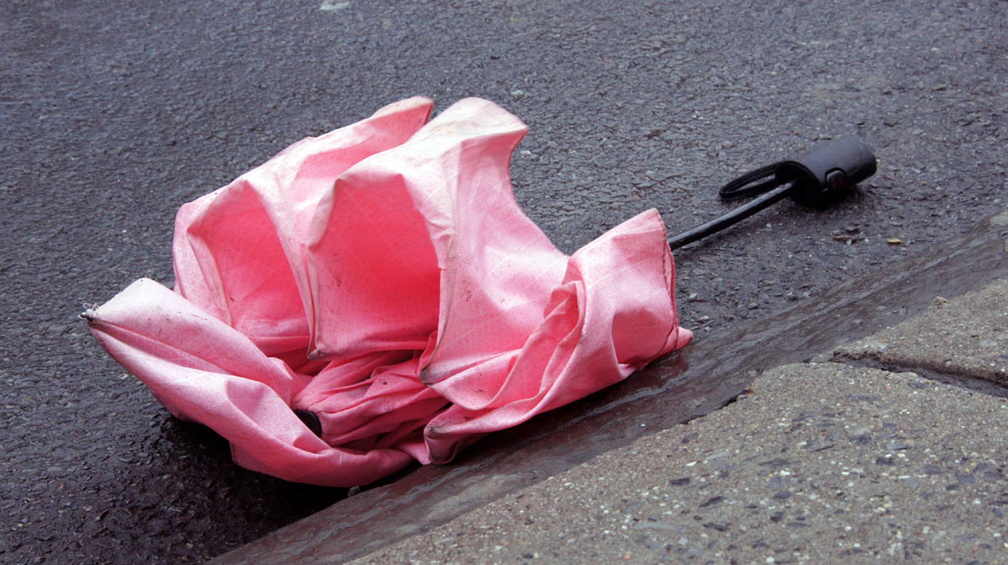 Discarded Umbrella Carcasses, NYC