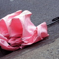 Discarded Umbrella Carcasses, NYC