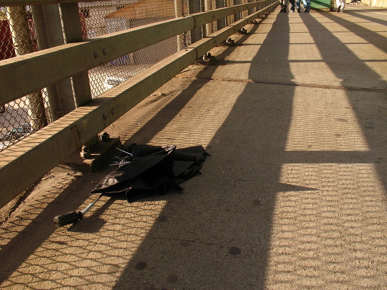 Discarded Umbrella Carcasses, NYC