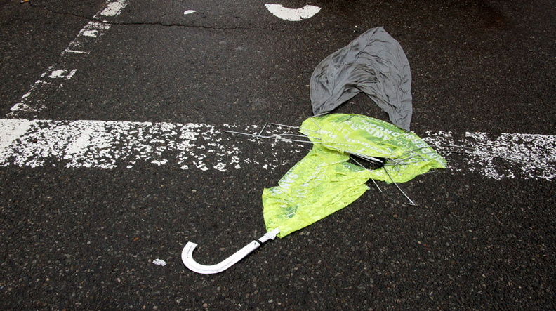 Discarded Umbrella Carcasses, NYC