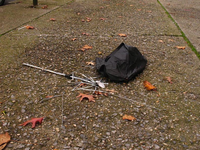 Discarded Umbrella Carcasses, NYC