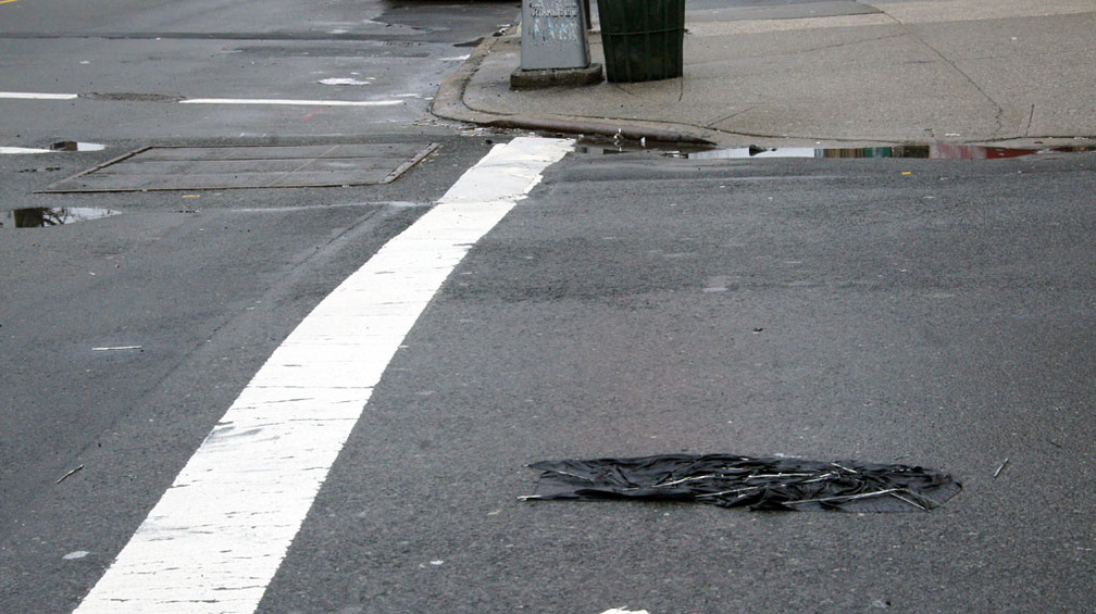 Discarded Umbrella Carcasses, NYC