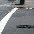 Discarded Umbrella Carcasses, NYC