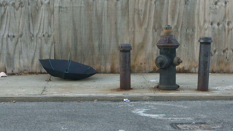 Discarded Umbrella Carcasses, NYC