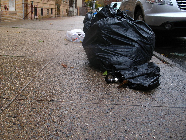 Discarded Umbrella Carcasses, NYC