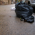 Discarded Umbrella Carcasses, NYC