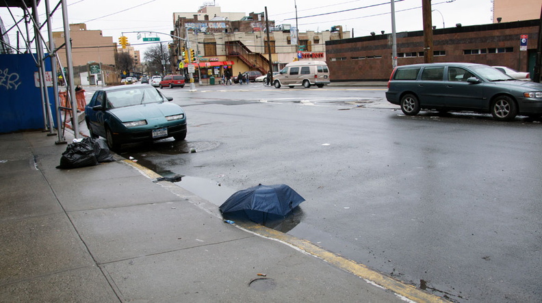 Discarded Umbrella Carcasses, NYC