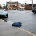 Discarded Umbrella Carcasses, NYC