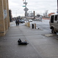 Discarded Umbrella Carcasses, NYC