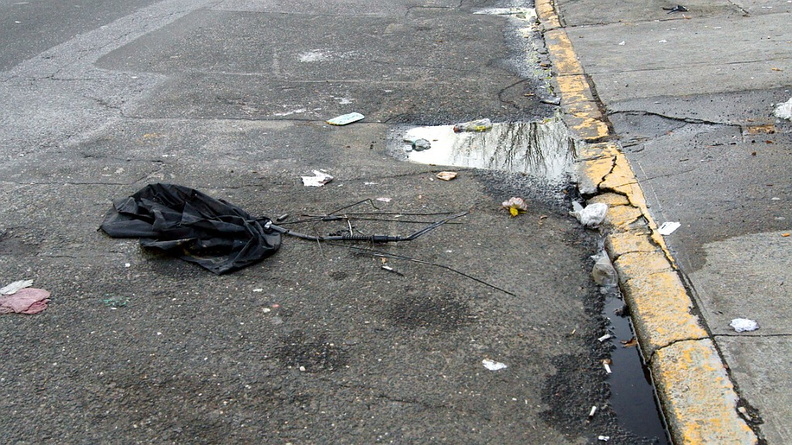 Discarded Umbrella Carcasses, NYC