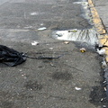 Discarded Umbrella Carcasses, NYC