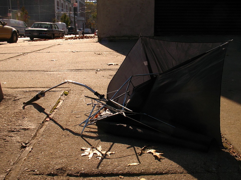 Discarded Umbrella Carcasses, NYC