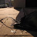 Discarded Umbrella Carcasses, NYC