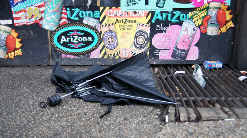 Discarded Umbrella Carcasses, NYC