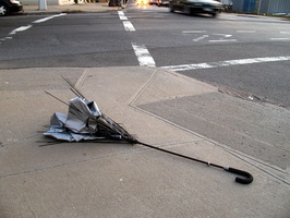 Discarded Umbrella Carcasses, NYC