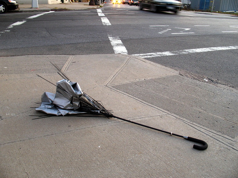 Discarded Umbrella Carcasses, NYC