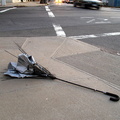 Discarded Umbrella Carcasses, NYC