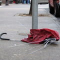 Discarded Umbrella Carcasses, NYC