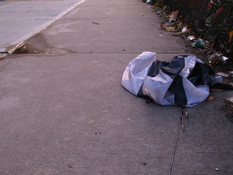 Discarded Umbrella Carcasses, NYC