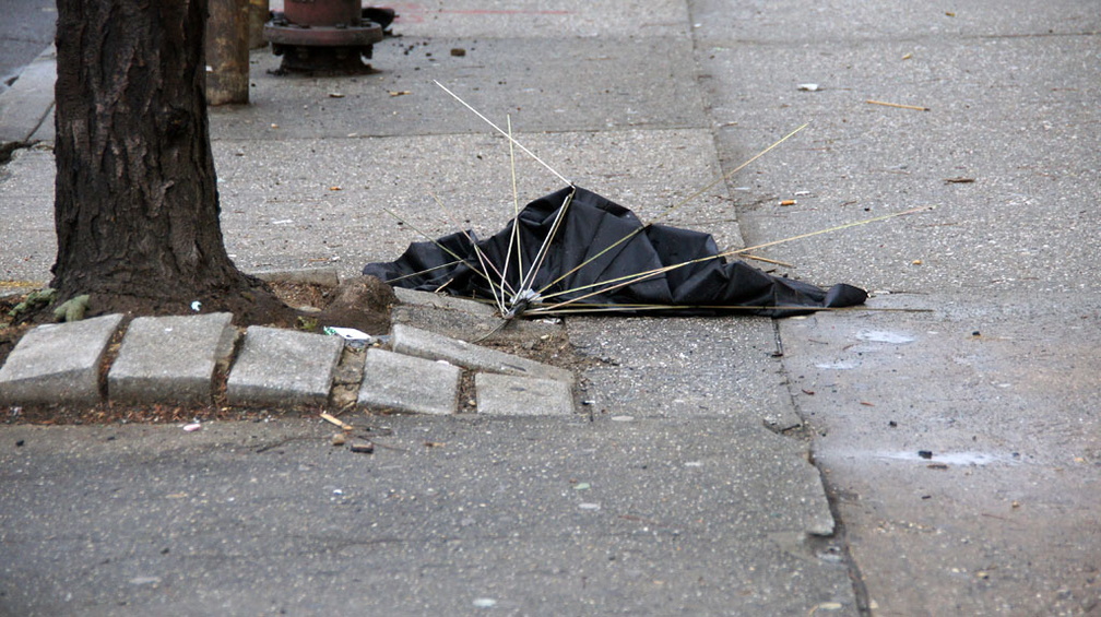 Discarded Umbrella Carcasses, NYC