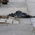 Discarded Umbrella Carcasses, NYC