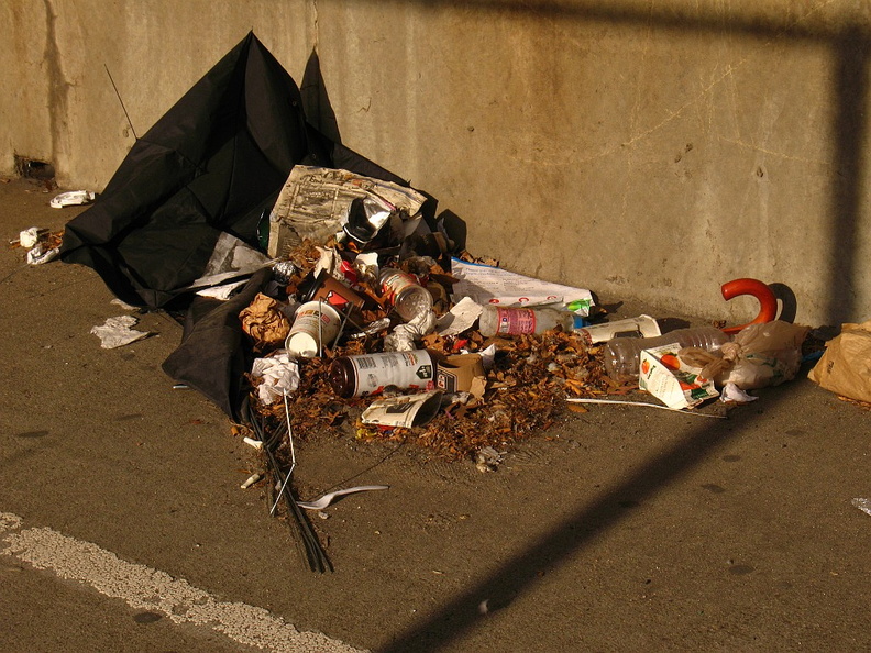 Discarded Umbrella Carcasses, NYC