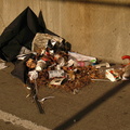 Discarded Umbrella Carcasses, NYC