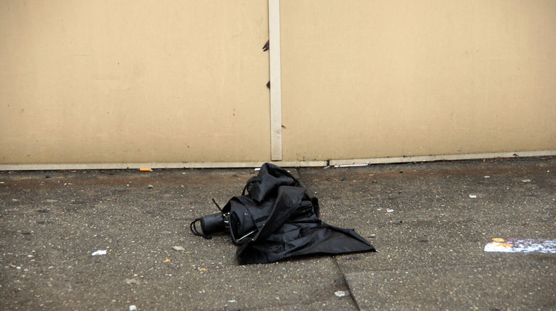 Discarded Umbrella Carcasses, NYC