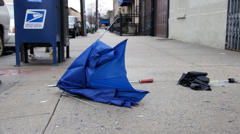 Discarded Umbrella Carcasses, NYC