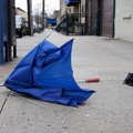 Discarded Umbrella Carcasses, NYC