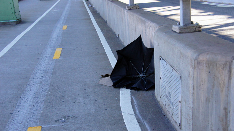 Discarded Umbrella Carcasses, NYC