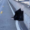 Discarded Umbrella Carcasses, NYC