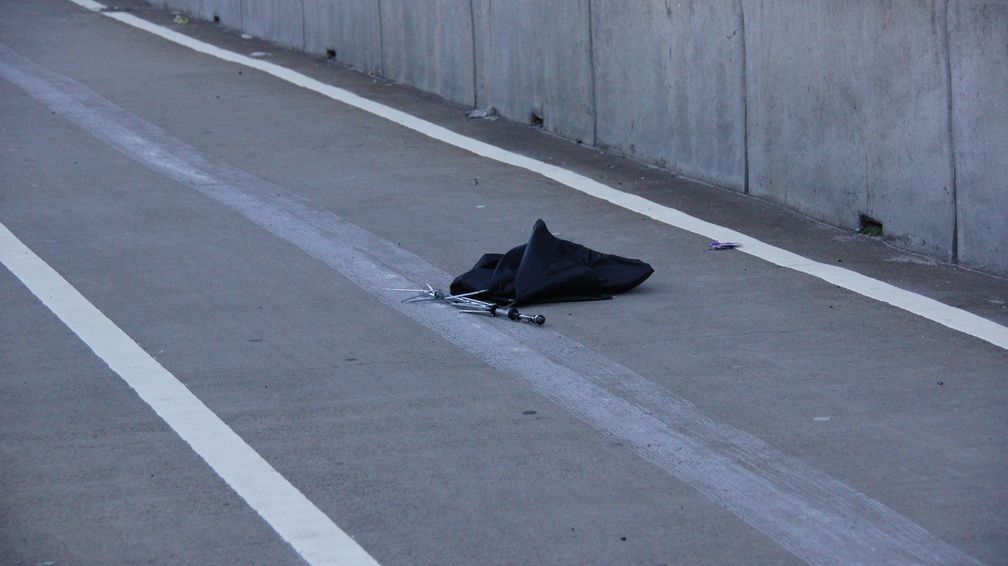 Discarded Umbrella Carcasses, NYC