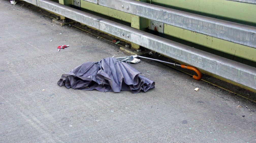 Discarded Umbrella Carcasses, NYC