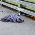 Discarded Umbrella Carcasses, NYC