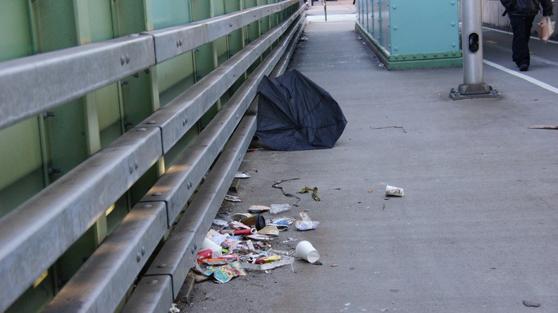 Discarded Umbrella Carcasses, NYC