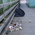 Discarded Umbrella Carcasses, NYC