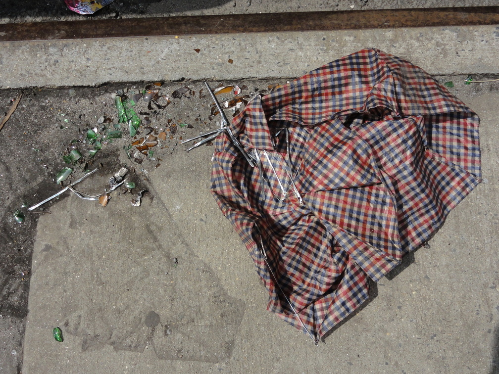 Discarded Umbrella Carcasses, NYC