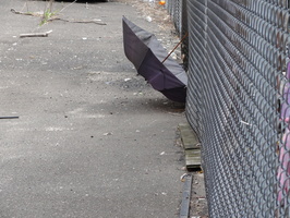 Discarded Umbrella Carcasses, NYC