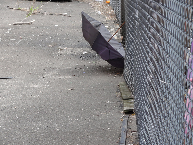 Discarded Umbrella Carcasses, NYC