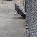 Discarded Umbrella Carcasses, NYC