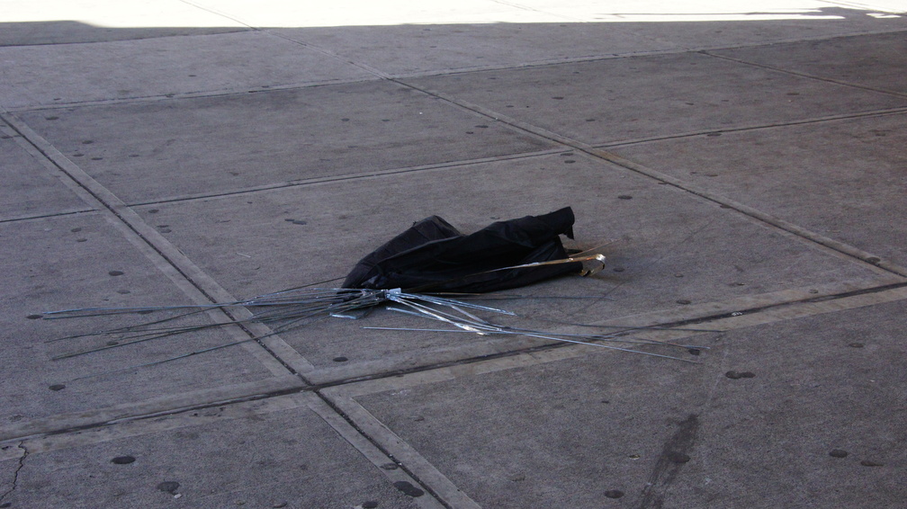 Discarded Umbrella Carcasses, NYC