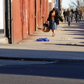 Discarded Umbrella Carcasses, NYC