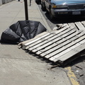 Discarded Umbrella Carcasses, NYC