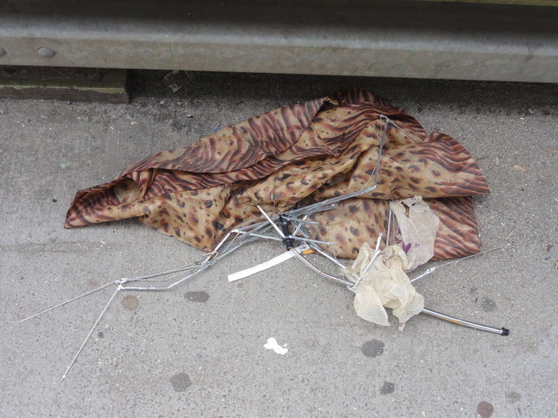 Discarded Umbrella Carcasses, NYC