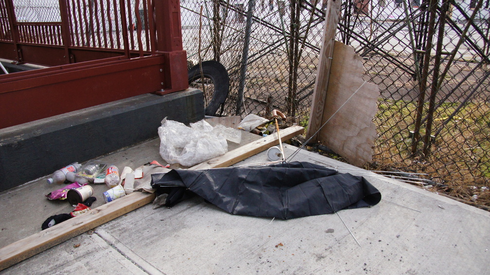 Discarded Umbrella Carcasses, NYC