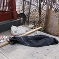 Discarded Umbrella Carcasses, NYC