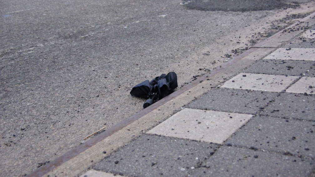 Discarded Umbrella Carcasses, NYC